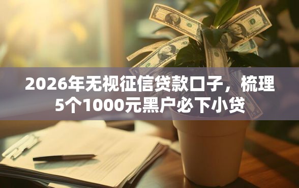 2026年无视征信贷款口子,梳理5个1000元黑户必下小贷 2026年无视征信贷款口子,梳理5个1000元黑户必下小贷