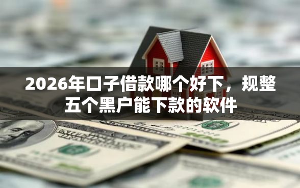 2026年口子借款哪个好下，规整五个黑户能下款的软件