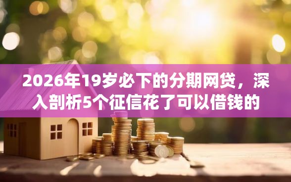 2026年19岁必下的分期网贷，深入剖析5个征信花了可以借钱的网贷app