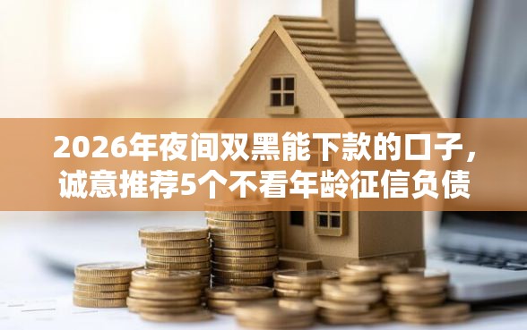 2026年夜间双黑能下款的口子，诚意推荐5个不看年龄征信负债的口子