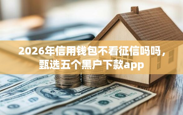 2026年信用钱包不看征信吗吗，甄选五个黑户下款app