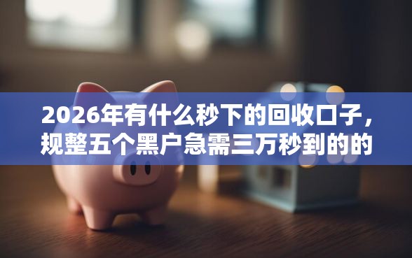 2026年有什么秒下的回收口子，规整五个黑户急需三万秒到的的软件