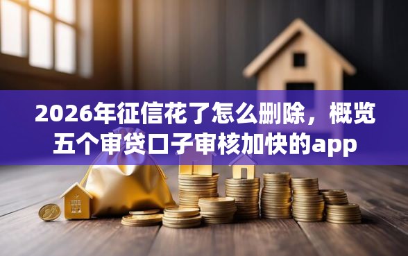 2026年征信花了怎么删除，概览五个审贷口子审核加快的app