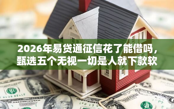 2026年易贷通征信花了能借吗，甄选五个无视一切是人就下款软件