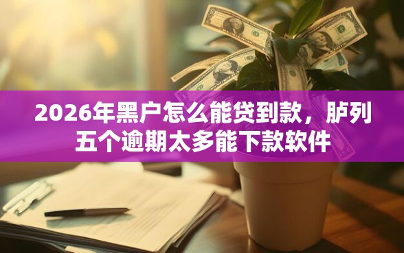 2026年黑户怎么能贷到款，胪列五个逾期太多能下款软件