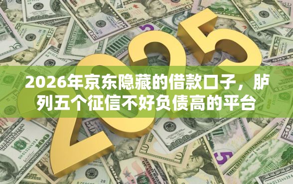 2026年京东隐藏的借款口子，胪列五个征信不好负债高的平台