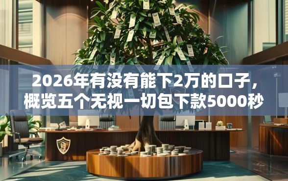 2026年有没有能下2万的口子，概览五个无视一切包下款5000秒下款的平台