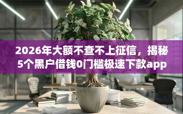 2026年大额不查不上征信，揭秘5个黑户借钱0门槛极速下款app