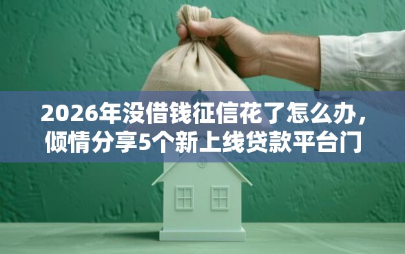2026年没借钱征信花了怎么办，倾情分享5个新上线贷款平台门槛低软件