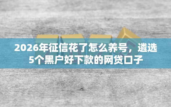 2026年征信花了怎么养号，遴选5个黑户好下款的网贷口子