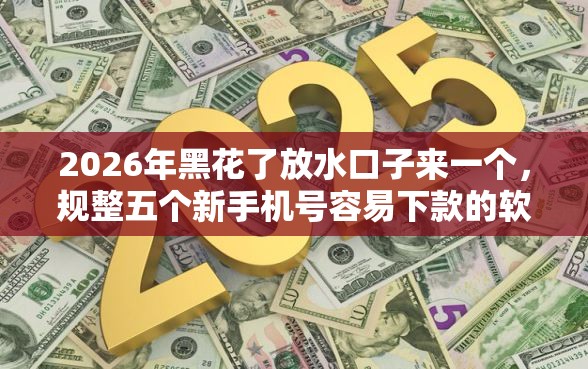 2026年黑花了放水口子来一个，规整五个新手机号容易下款的软件