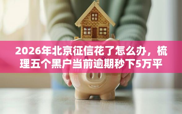2026年北京征信花了怎么办，梳理五个黑户当前逾期秒下5万平台