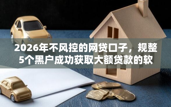 2026年不风控的网贷口子，规整5个黑户成功获取大额贷款的软件