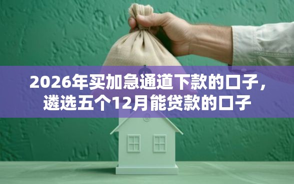 2026年买加急通道下款的口子，遴选五个12月能贷款的口子