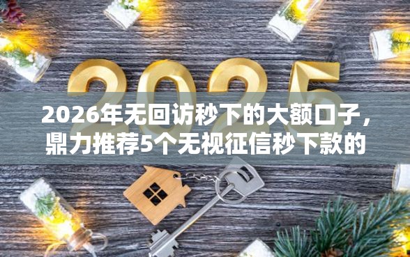 2026年无回访秒下的大额口子,鼎力推荐5个无视征信秒下款的口子 2026年无回访秒下的大额口子,鼎力推荐5个无视征信秒下款的口子