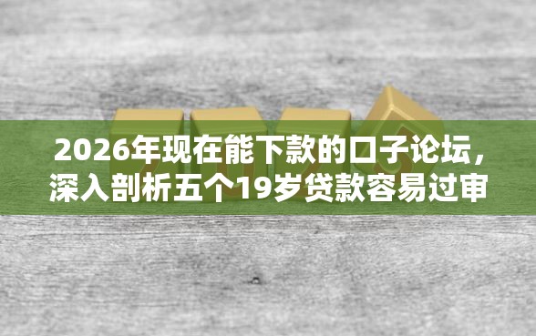 2026年现在能下款的口子论坛，深入剖析五个19岁贷款容易过审批的软件