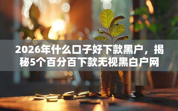 2026年什么口子好下款黑户，揭秘5个百分百下款无视黑白户网贷