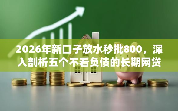 2026年新口子放水秒批800，深入剖析五个不看负债的长期网贷app