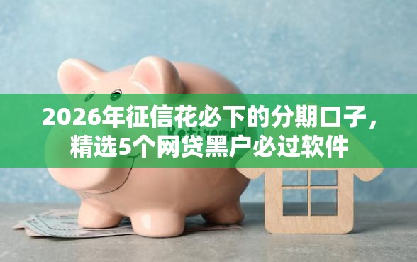 2026年征信花必下的分期口子，精选5个网贷黑户必过软件