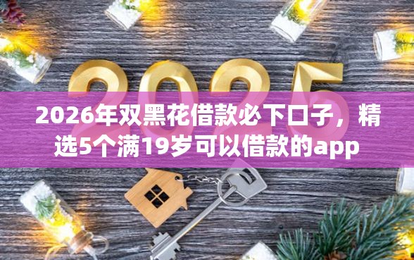2026年双黑花借款必下口子，精选5个满19岁可以借款的app