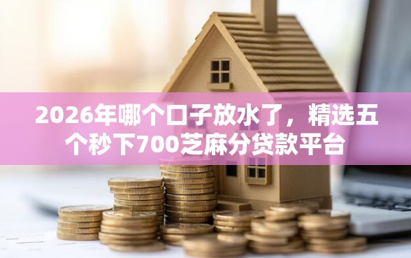 2026年哪个口子放水了，精选五个秒下700芝麻分贷款平台