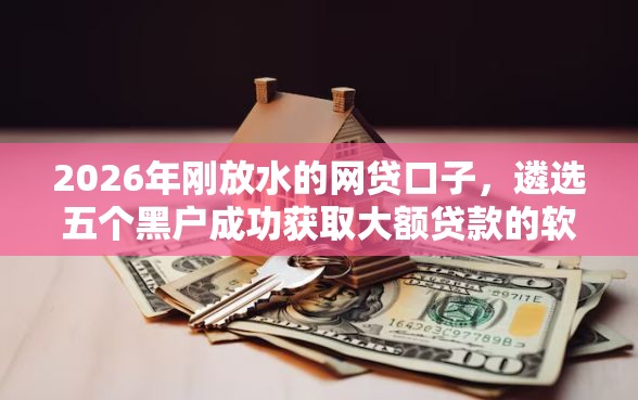 2026年刚放水的网贷口子，遴选五个黑户成功获取大额贷款的软件
