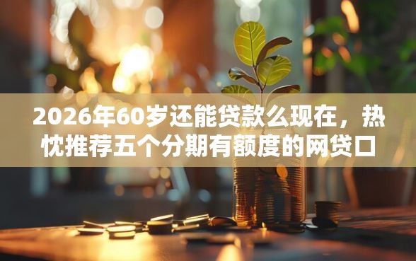 2026年60岁还能贷款么现在，热忱推荐五个分期有额度的网贷口子