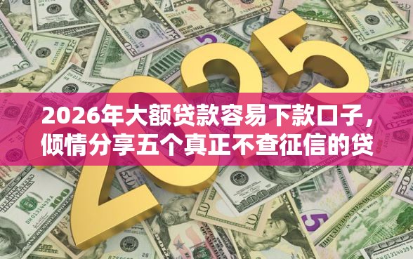 2026年大额贷款容易下款口子，倾情分享五个真正不查征信的贷款软件