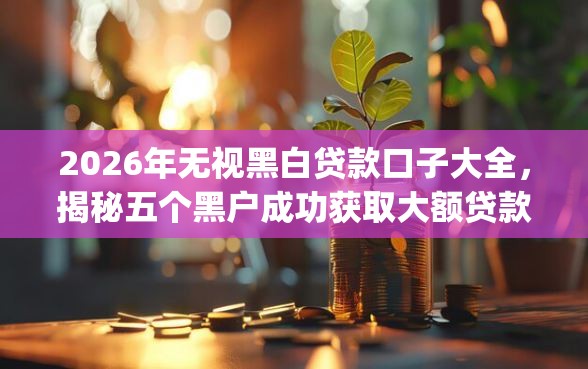 2026年无视黑白贷款口子大全，揭秘五个黑户成功获取大额贷款的app