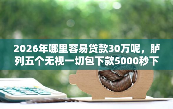 2026年哪里容易贷款30万呢，胪列五个无视一切包下款5000秒下款的软件