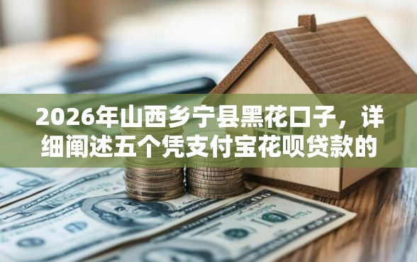 2026年山西乡宁县黑花口子，详细阐述五个凭支付宝花呗贷款的口子