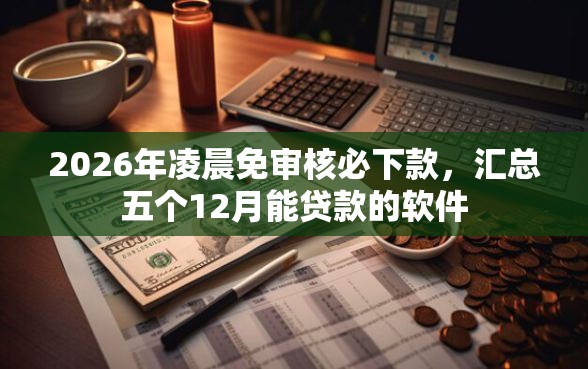2026年凌晨免审核必下款，汇总五个12月能贷款的软件