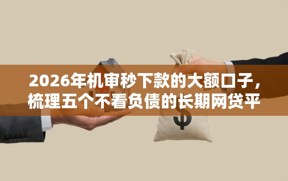 2026年机审秒下款的大额口子，梳理五个不看负债的长期网贷平台