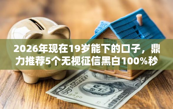 2026年现在19岁能下的口子，鼎力推荐5个无视征信黑白100%秒下网贷平台