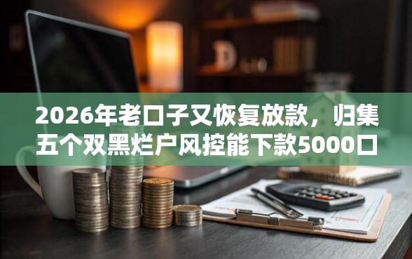 2026年老口子又恢复放款，归集五个双黑烂户风控能下款5000口子