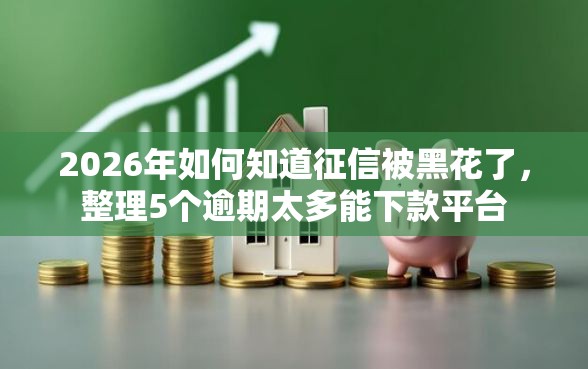 2026年如何知道征信被黑花了，整理5个逾期太多能下款平台