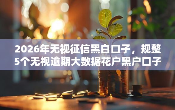 2026年无视征信黑白口子，规整5个无视逾期大数据花户黑户口子