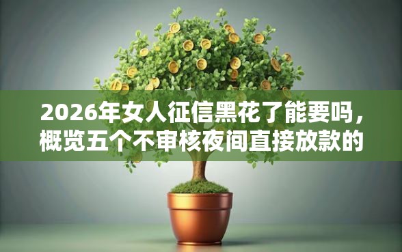 2026年女人征信黑花了能要吗,概览五个不审核夜间直接放款的网贷软件 2026年女人征信黑花了能要吗,概览五个不审核夜间直接放款的网贷软件