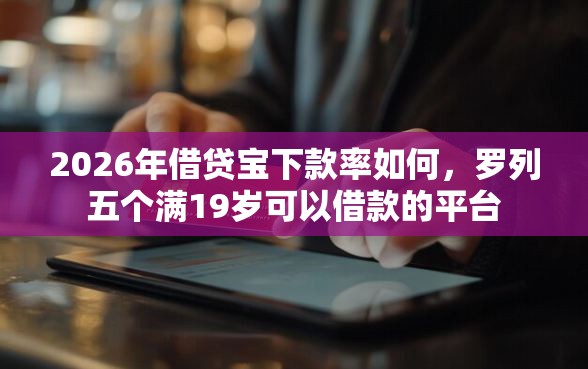 2026年借贷宝下款率如何，罗列五个满19岁可以借款的平台