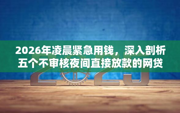 2026年凌晨紧急用钱，深入剖析五个不审核夜间直接放款的网贷平台