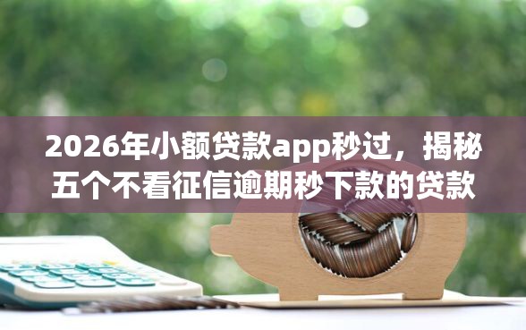 2026年小额贷款app秒过，揭秘五个不看征信逾期秒下款的贷款