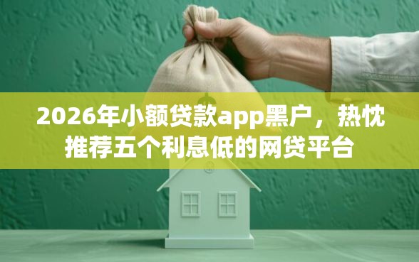 2026年小额贷款app黑户，热忱推荐五个利息低的网贷平台