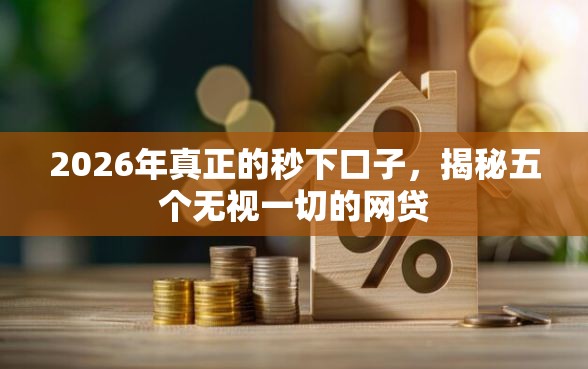 2026年真正的秒下口子，揭秘五个无视一切的网贷