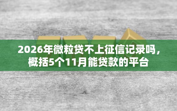 2026年微粒贷不上征信记录吗，概括5个11月能贷款的平台