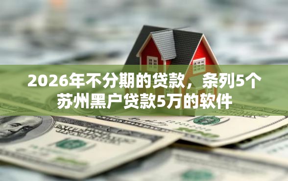 2026年不分期的贷款，条列5个苏州黑户贷款5万的软件