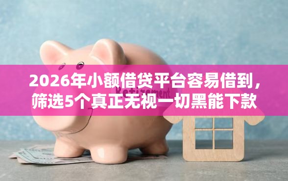 2026年小额借贷平台容易借到，筛选5个真正无视一切黑能下款口子