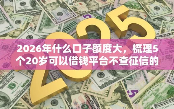 2026年什么口子额度大，梳理5个20岁可以借钱平台不查征信的软件