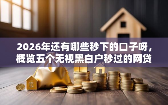2026年还有哪些秒下的口子呀，概览五个无视黑白户秒过的网贷