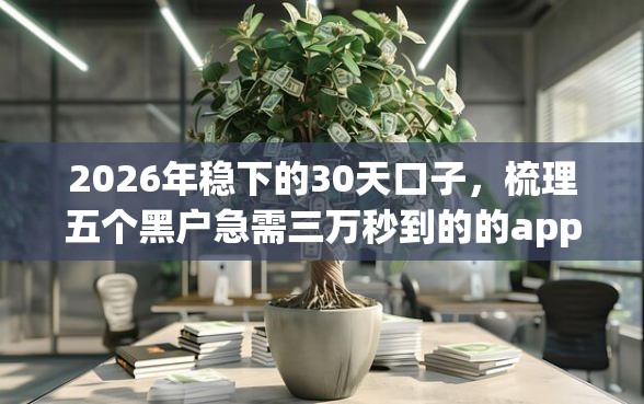 2026年稳下的30天口子，梳理五个黑户急需三万秒到的的app