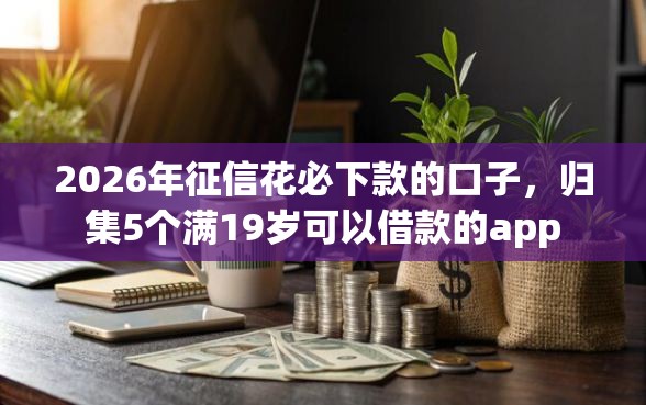 2026年征信花必下款的口子，归集5个满19岁可以借款的app